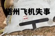 梧州飞机失事原因查清楚了吗 梧州飞机失事