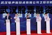 武汉股票融资租赁公司 武汉股票融资