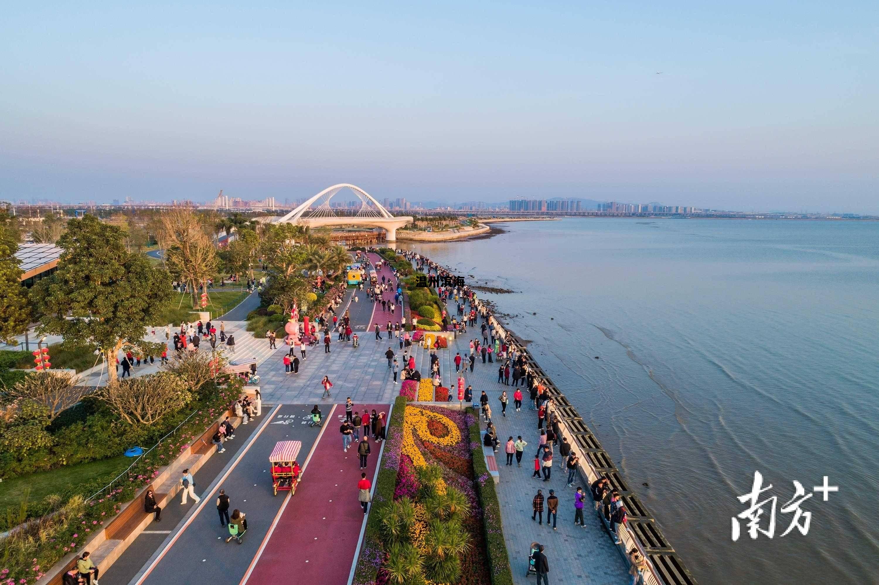 温州滨海集团 温州滨海